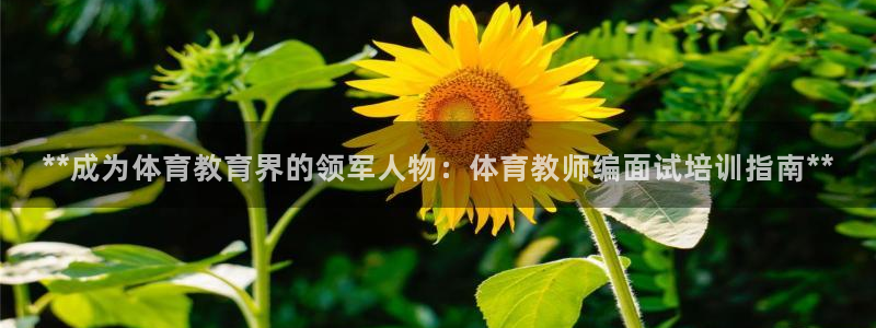 焦点娱乐皮皮虾：**成为体育教育界的领军人物：体育教