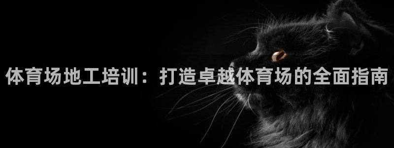 焦点娱乐陈江河