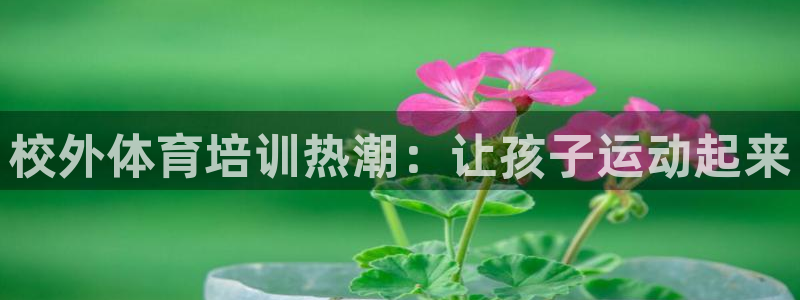 焦点娱乐是拉菲公司的吗知乎：校外体育培训热潮：让孩子