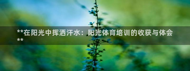 焦点娱乐官方网站下载手机版：**在阳光中挥洒汗水：阳