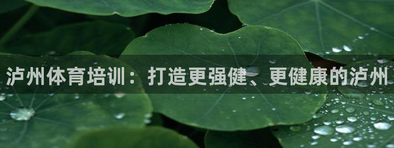 焦点娱乐加速器下载安卓：泸州体育培训：打造更强健、更
