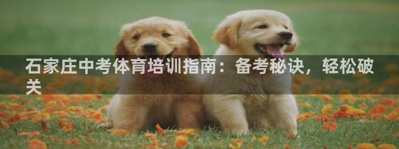 焦点娱乐平台例7O777：石家庄中考体育培训指南：备
