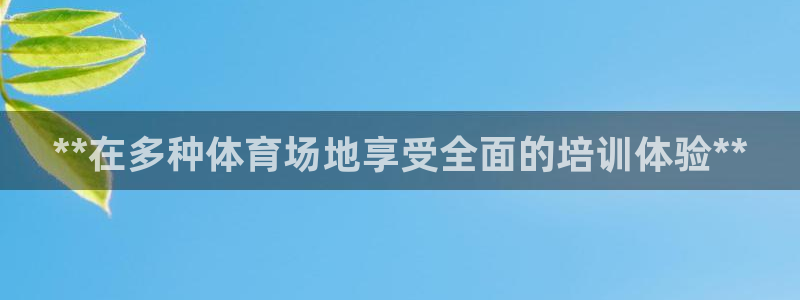 焦点娱乐官方网站入口下载：**在多种体育场地享受全面