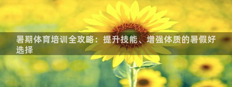 焦点娱乐传媒有限公司怎么样啊：暑期体育培训全攻略：提