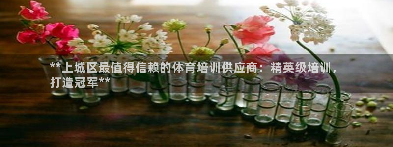 焦点娱乐平台主管：**上城区最值得信赖的体育培训供应