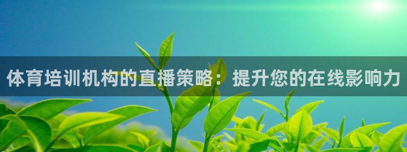 焦点娱乐游戏怎么玩：体育培训机构的直播策略：提升您的