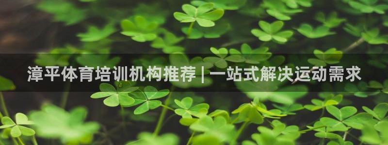 焦点娱乐官网下载安装：漳平体育培训机构推荐 | 一站