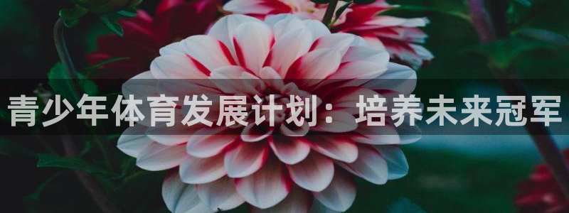 焦点娱乐无法提现到微信：青少年体育发展计划：培养未来