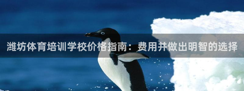 焦点娱乐传媒有限公司招聘电话：潍坊体育培训学校价格指