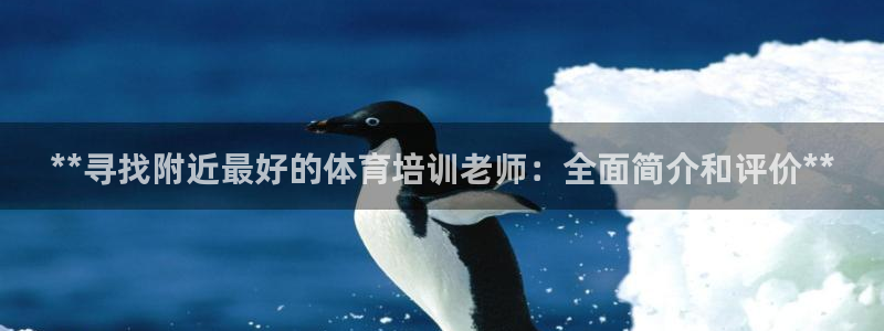 焦点娱乐平台最高待遇：**寻找附近最好的体育培训老师