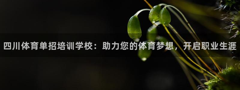 焦点娱乐公司官网：四川体育单招培训学校：助力您的体育