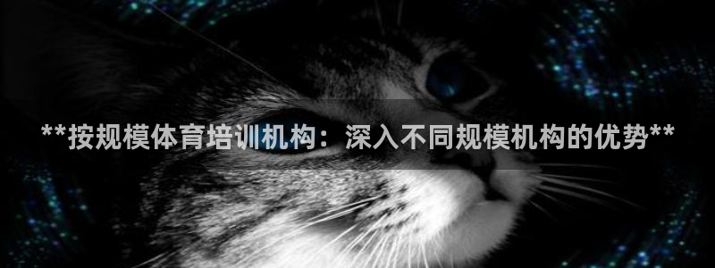 焦点娱乐官方网站首页入口下载：**按规模体育培训机构