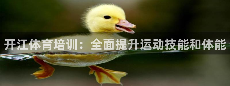 焦点娱乐官网下载安装苹果手机：开江体育培训：全面提升
