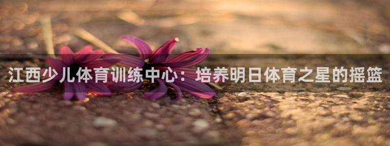 焦点娱乐会所：江西少儿体育训练中心：培养明日体育之星的摇篮