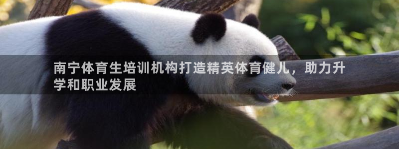 焦点娱乐说说怎么写：南宁体育生培训机构打造精英体育健儿，助力