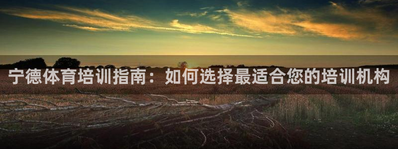 焦点娱乐官网下载安装手机版苹果：宁德体育培训指南：如何选择最