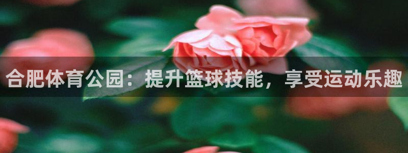 焦点娱乐官网首页入口网址：合肥体育公园：提升篮球技能
