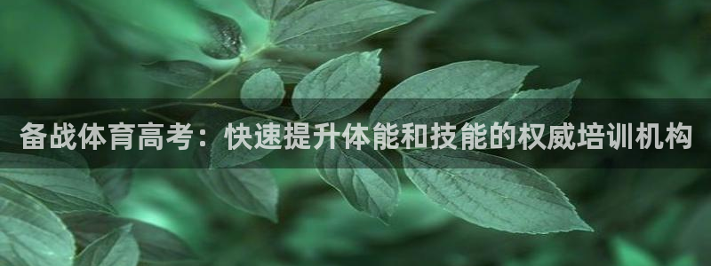 焦点娱乐总代理是谁：备战体育高考：快速提升体能和技能