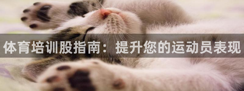 焦点娱乐传媒有限公司招聘：体育培训股指南：提升您的运