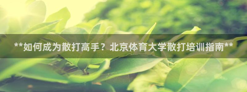 焦点娱乐官方网站下载安装最新版：**如何成为散打高手