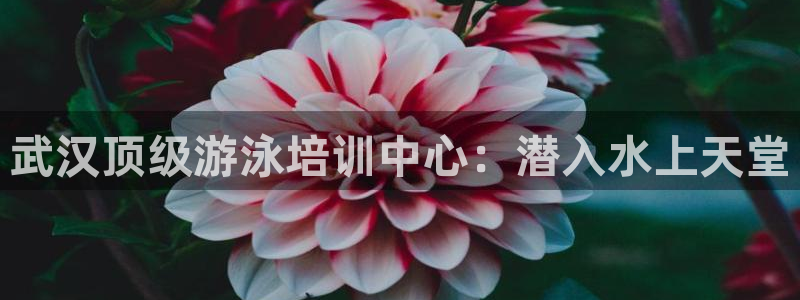 焦点娱乐平台讲7O777：武汉顶级游泳培训中心：潜入
